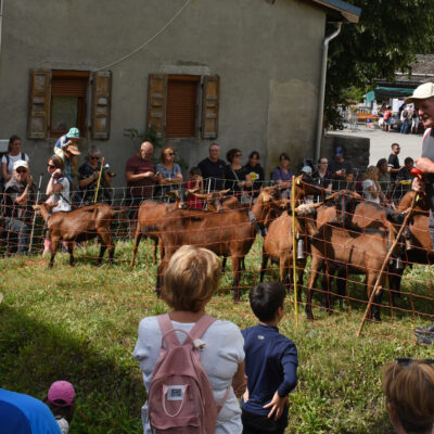 Fête des alpagistes